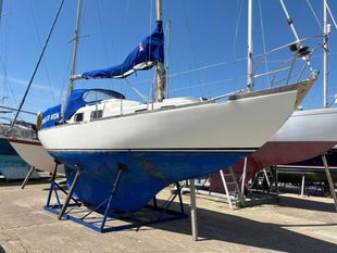 1969 Trintella 29