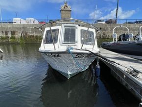 IMG 3545