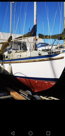 Seadog 30 in N. Ireland 
