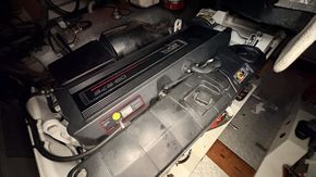 IMG 6741