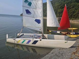 Dart 18