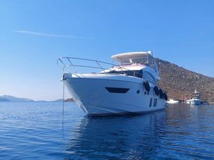 2016 Princess Princess 68