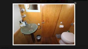 Flushing toilet