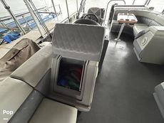 2022 Massimo Marine P23