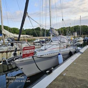 1981 Eygthene 24