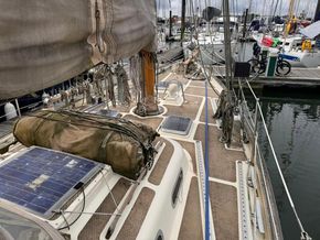 1993 tradewind 35 sail 9427087 20240613024915407 1 XLARGE