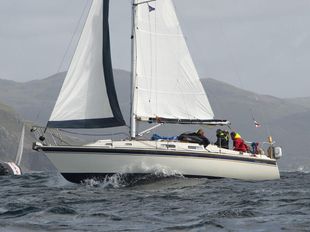 ARTEMIS - WESTERLY FULMAR