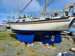 Seadog 30 "Scoubidou"