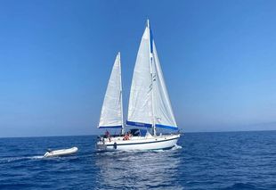 Alpa 42
