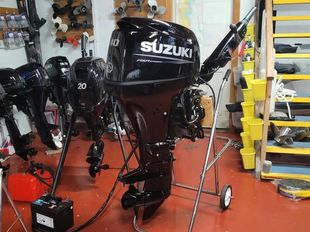 Suzuki 40hp with big tiller kit.