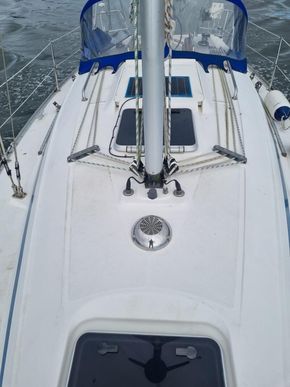 2000 Bavaria 31 10