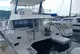 2020 Leopard Powercat 43