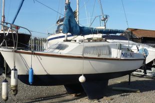 Pirate Express 17 Yacht