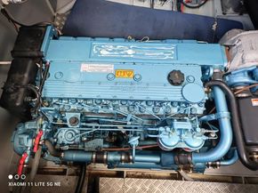 Pedro Levanto 44  - Engine