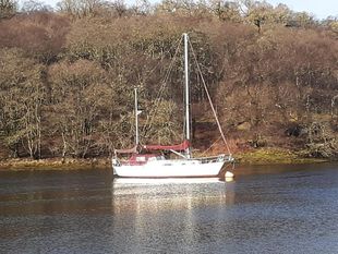1977 Hallberg Rassy Rasmus 35 Ketch