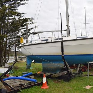 Colvic Countess Sailor 28 "Deja Vu"