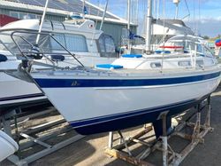 Hallberg-Rassy 31