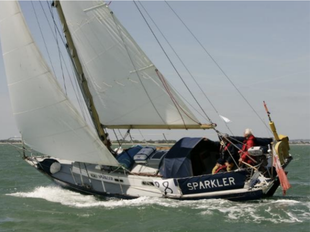 Rustler 31