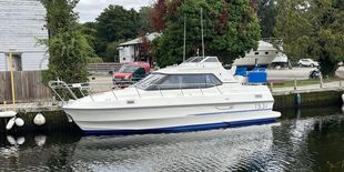 Birchwood TS31