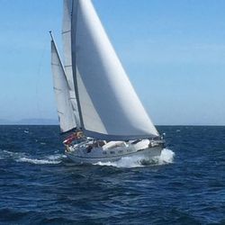 Moody halberdier 36 1987 the last Halberdier built