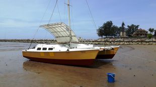 Sailing Catamaran