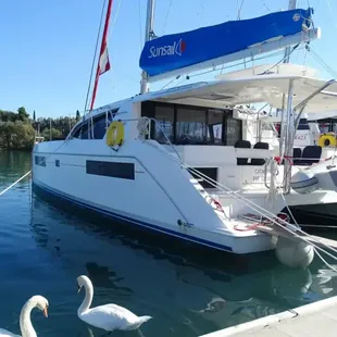 2019 Leopard 40