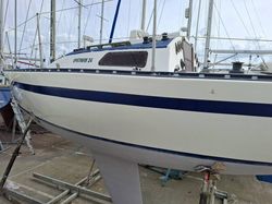 1976 Eygthene 24