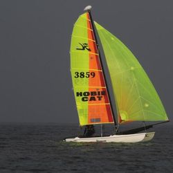 Hobie 15