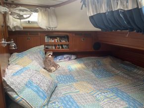 aft cabin
