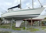 1984 Contessa 34