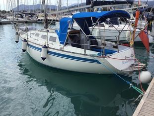 Everitt 29
