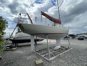 IMG 4157