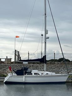 Hunter Legend 28