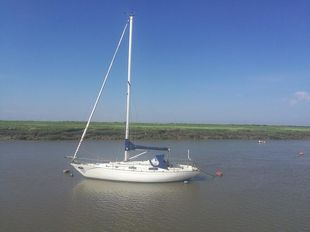 Contessa 32