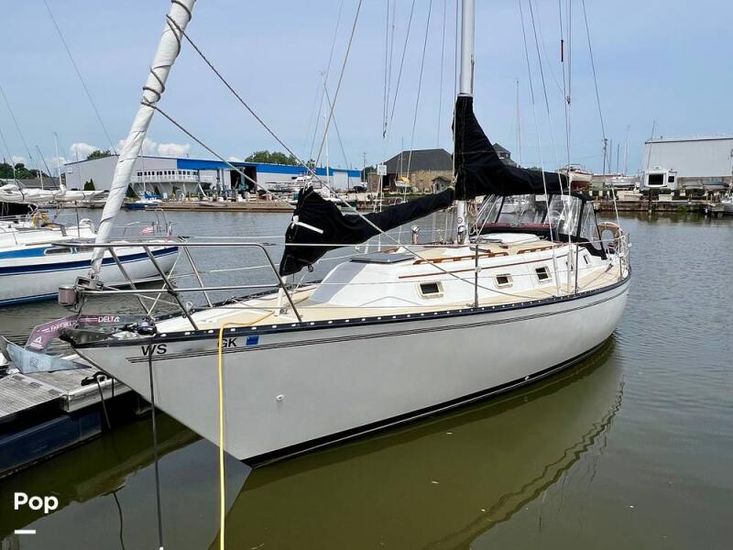 1979 Hunter 37 cherubini