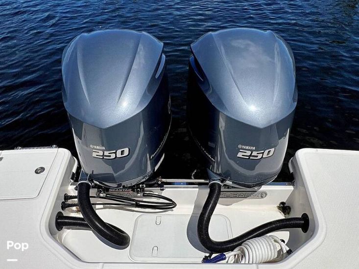 2019 Robalo r 272