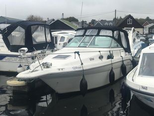 Sea Ray 270