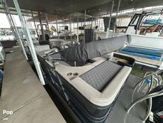 2022 Massimo Marine P23