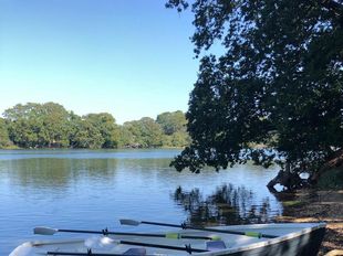 Rowing boat skiff, immaculate condition