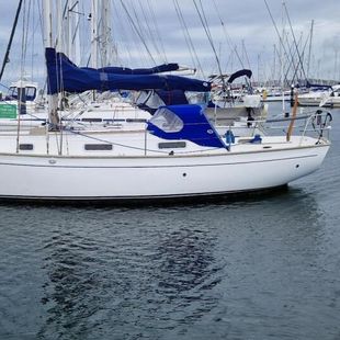 1991 Victoria 34