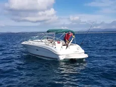 2001 Sea Ray 225 Weekender