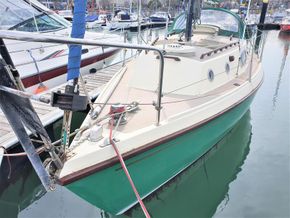 Westerly Tiger for sale with BJ Marine