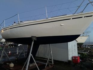 Hunter Impala 28 “Bluestreak”