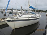 Share of Westerly Falcon in Lymington