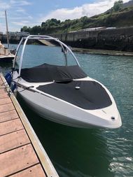 Larson Senza Sports boat with tower