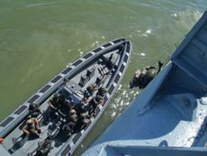 Piranha Military Ribs