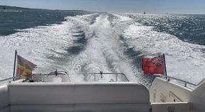 Thumbnail IMG 7675