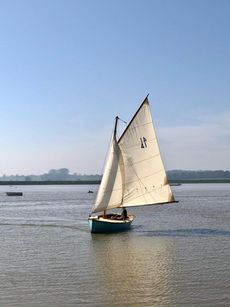 Salterns Tela