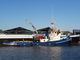 tug- double drum winch - 28 tbp