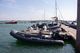 2024 Tiger Marine Dive Master 520